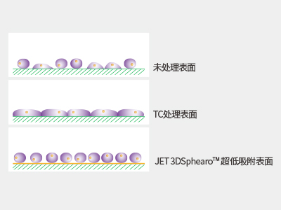 超低吸附表面具有共價(jià)結(jié)合的水凝膠層，具有極強(qiáng)的抗蛋白吸附性和抗細(xì)胞貼壁性，可有效抑制細(xì)胞附著